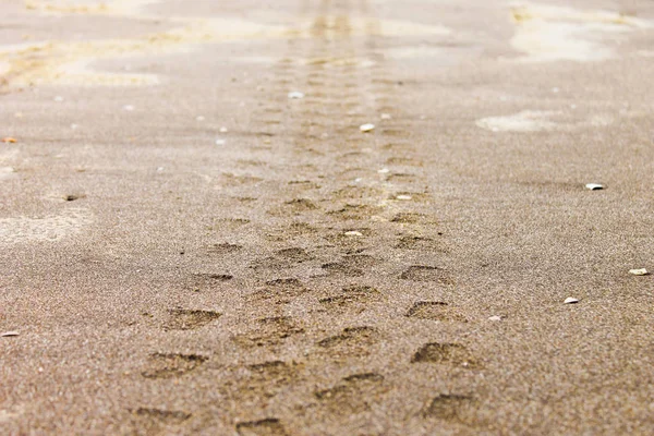 Αυτοκίνητο Σήματα Στην Άμμο — Φωτογραφία Αρχείου