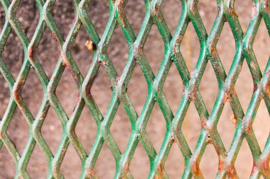 Yeşil Vintage menteşe