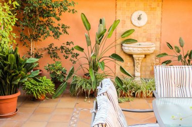 Bitkilerle Avlu Detayı