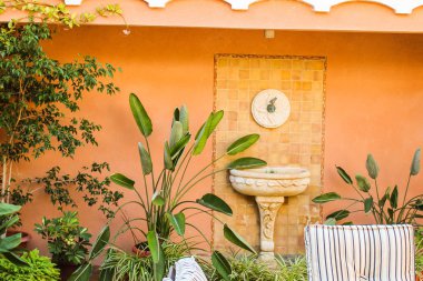 Bitkilerle Avlu Detayı