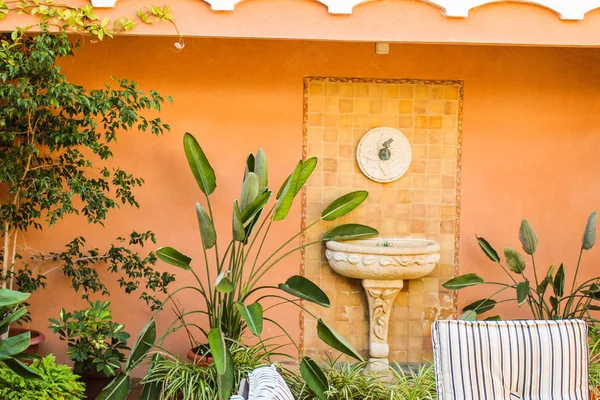 Bitkilerle Avlu Detayı