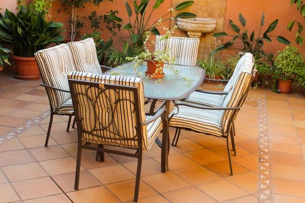 Avlu Detay ve Bitkiler