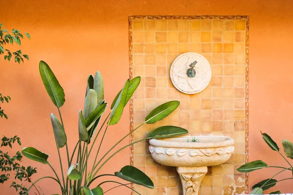 Avlu Detay ve Bitkiler