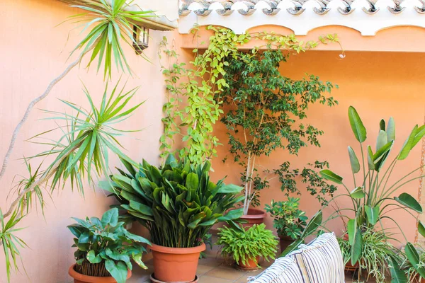 Avlu Detay Mimarisi ve Tesisleri