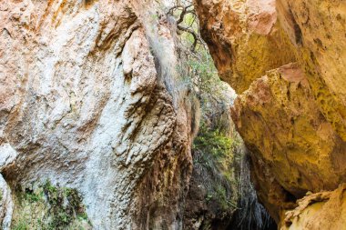 Earth giriş Mağarası doğa