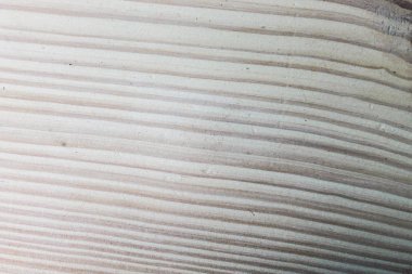 Ahşap Yüzey Detay Arka Plan 