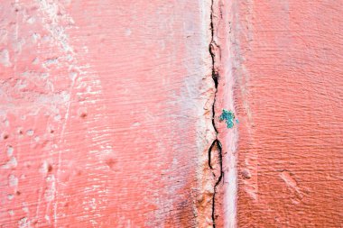 Kırmızı Beton Yüzey