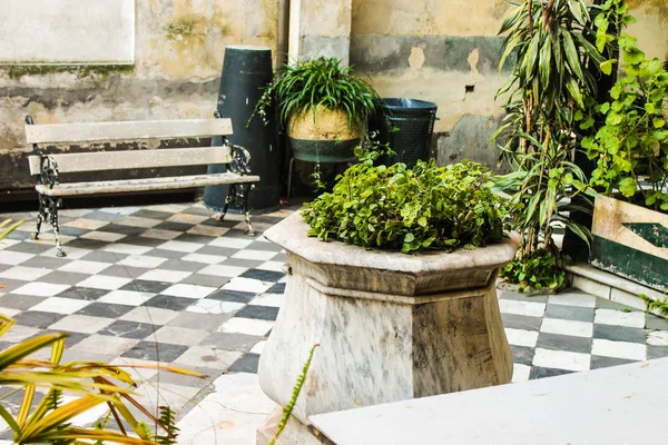 Plantas Vintage Edificio Patio — Foto de Stock