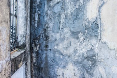 Vintage Duvarda Bitki