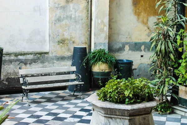 Plantas Vintage Edificio Patio — Foto de Stock
