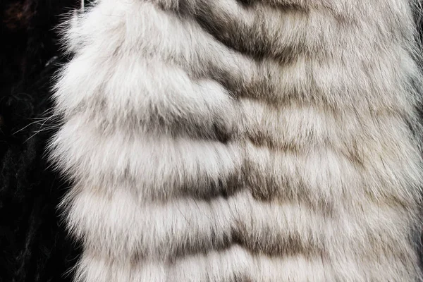 Couro Fur Coat Vestuário — Fotografia de Stock