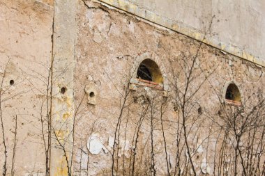 Dışarıdaki Kırsal Görüntü Evi