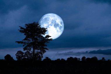 Süper aya geri gece gökyüzünde, Nasa tarafından döşenmiş bu görüntü öğeleri ağaç siluet