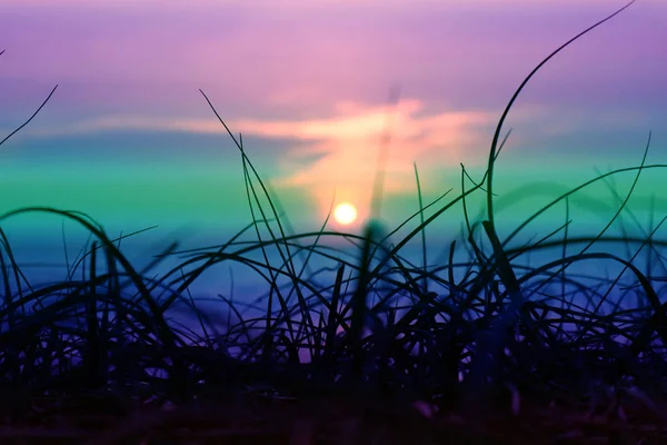 Oskärpa Solnedgång Havet Och Silhouette Gräset Stranden Färgstarka Lila Himmel — Stockfoto