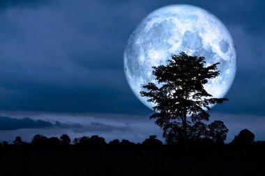 süper gece gökyüzünde, Nasa tarafından döşenmiş bu görüntü öğeleri ağaç siluet tarih geri üzerinde ay