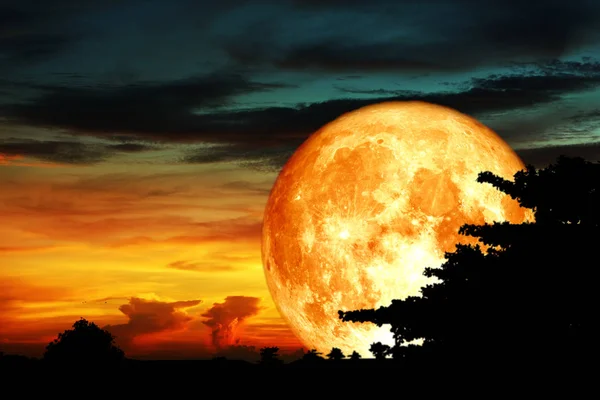 Super Lune Sang Silhouette Nuage Arbre Arrière Éléments Cette Image — Photo