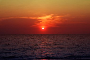 Sunset beach renkli gökyüzü arka plan üzerinde deniz ve siluet çimenlerin üzerinde bulanıklık