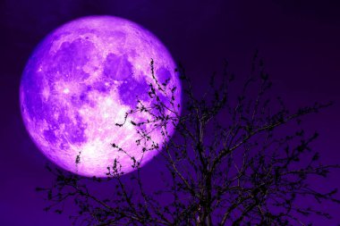 , Bu görüntünün elementleri NASA tarafından desteklenmektedir