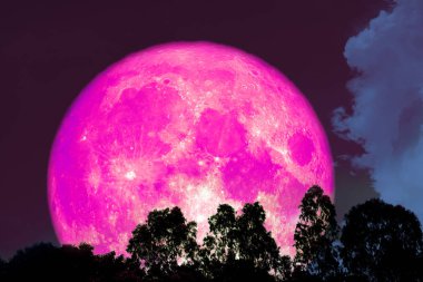 Tam pembe ayın üstünden bir ormanda, Nasa tarafından döşenmiş bu görüntü öğeleri ağaç siluet