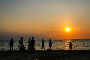 gün batımı arka plan kum siluet insanların aile ve plaj ve deniz sonunda oynayan evde beslenen hayvan