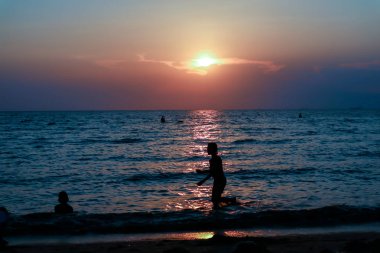 gün batımı arka plan kum siluet insanların aile ve evde beslenen hayvan vasıl plaj ve deniz