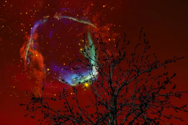 Galaxy Night Red Sky Back Silhouette Dry Tree Elements Image — Stock Photo, Image