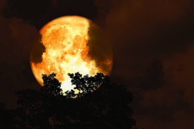 tam kanlı ay geri siluet üst ağaçlar ve renkli gökyüzü, Nasa tarafından döşenmiş bu görüntü unsurları üzerinde