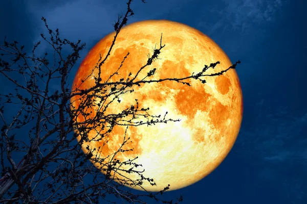 Volledig Bloed Maan Buurt Van Aarde Nacht Hemel Terug Silhouet — Stockfoto