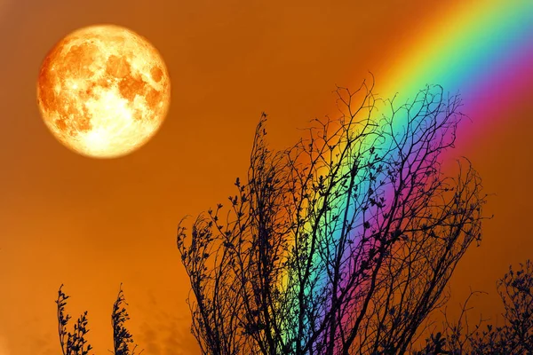 Pełnej Krwi Księżyc Pleców Sylwetka Suchego Drzewa Kolorowe Niebo Elementy — Zdjęcie stockowe