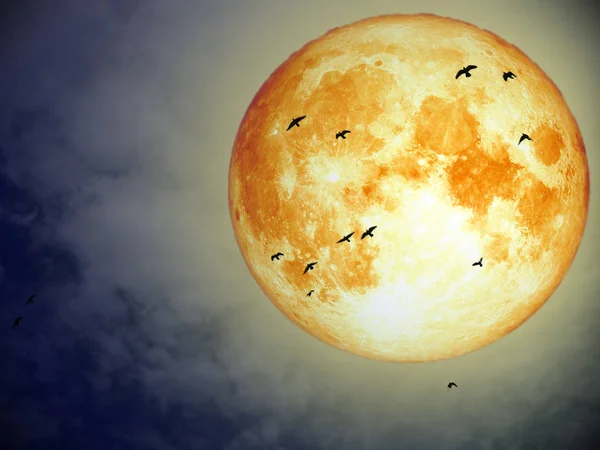 super full blood moon and group of bird flying on night sky, Elements of this image furnished by NASA
