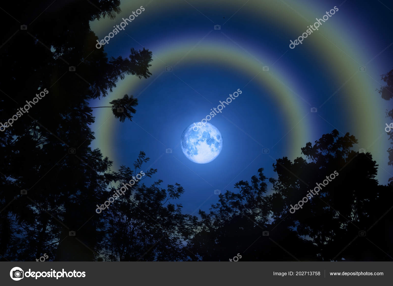 Moon Halo Double Rainbow Silhouette Grass Colorful Sky Elements Image —  Stock Photo © Chayananelixir@gmail.com #202713758, image size:1600x1167