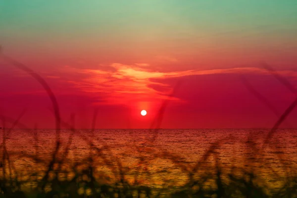 Blur Sunset Sea Silhouette Grass Beach Colorful Orange Sky Background — Stock Photo, Image