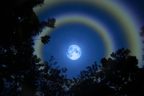 Mond Halo Doppelten Regenbogen Silhouette Gras Und Bunten Himmel Elemente — Stockfoto