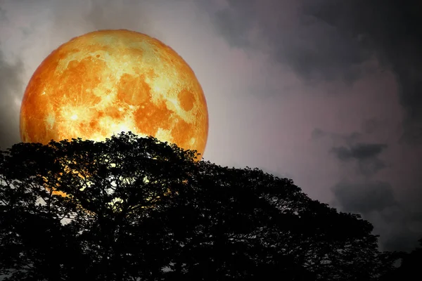 Luna Llena Sangre Espalda Silueta Árboles Cielo Colorido Elementos Esta — Foto de Stock