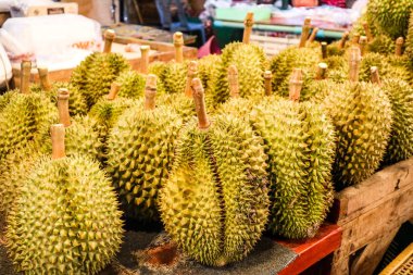 Durian Durio ait birçok ağaç türü meyvesi ve durian meyve kralı