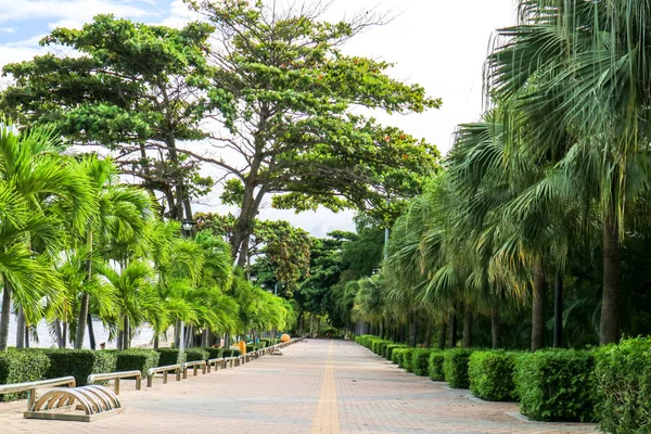 Cegły Blokują Drogi Betonowej Plaży Ogród Park Side Rowerów — Zdjęcie stockowe