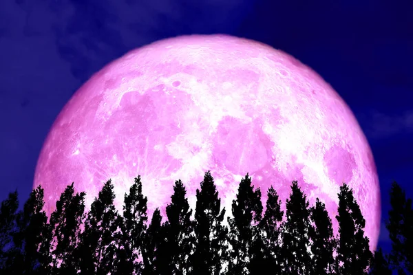 Volle Rosa Mond Zurück Silhouette Kiefer Und Nachthimmel Elemente Dieses — Stockfoto