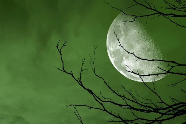 Silueta Trasera Media Luna Cielo Verde Nocturno Elementos Esta Imagen —  Fotos de Stock