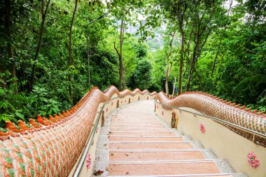 Naga Tay sanat Beton merdiven yol üst tepeden aşağı dağ orman içinde ayak