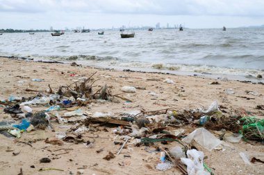 köpük plastik bambu şişe cam çöp ve atık kirliliği sahilde