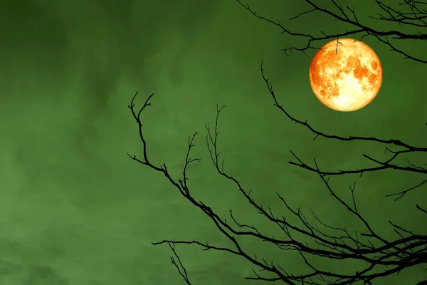 Πλήρους Αίματος Φεγγάρι Πίσω Σιλουέτα Υποκατάστημα Ουρανό Νύχτας Ξηρή Δέντρο — Φωτογραφία Αρχείου