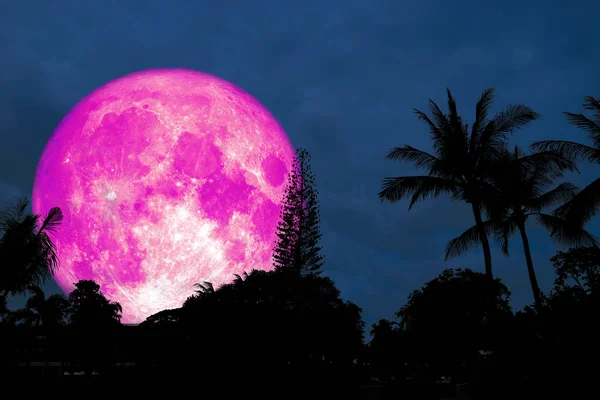 Full Pink Moon Silhouette Tree Forest Elements Image Furnished Nasa — Stock Photo, Image