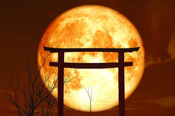 Silhouet Torii Houten Japanse Pijler Staan Zee Zonsondergang Hemel Elementen — Stockfoto