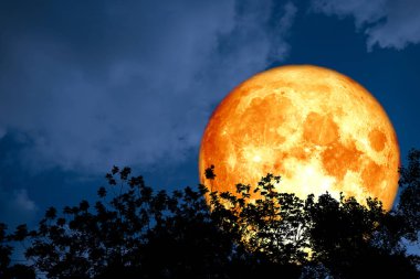 tam kanlı ay geri siluet üst ağaçlar ve renkli gökyüzü, Nasa tarafından döşenmiş bu görüntü unsurları üzerinde