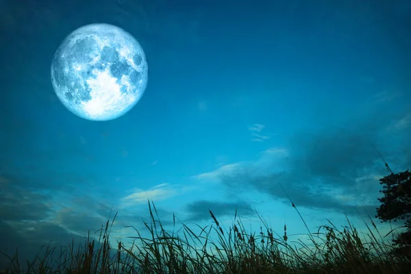 Luna Llena Sangre Sobre Hierba Silueta Cielo Colorido Elementos Esta — Foto de Stock
