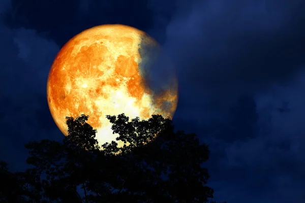 Luna Llena Sangre Sobre Árboles Silueta Superior Cielo Colorido Elementos — Foto de Stock