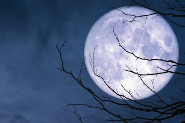 tam mavi ay geri siluet dal kuru ağaç, Nasa tarafından döşenmiş bu görüntü unsurları