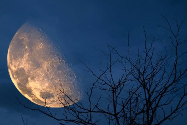 melez ay sırt siluet ağaç ve gece gökyüzü, Nasa tarafından döşenmiş bu görüntü unsurları