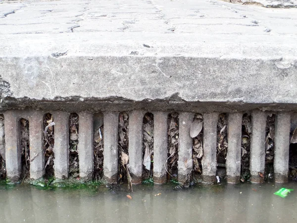 drenaj atık ve çöp ve kuru yaprakları tarafından takunya çünkü su tahliye edemez