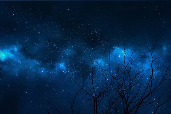 Galaxie Zurück Silhouette Trockener Ast Baum Nachthimmel Elemente Dieses Bildes — Stockfoto